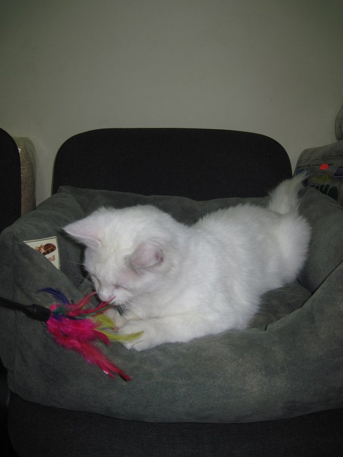 dYZDgM_Ssl8.jpg (87.05 КБ) Просмотров: 1952 dYZDgM_Ssl8.jpg