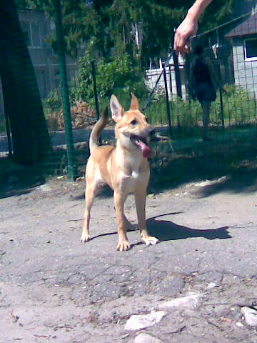 J_024.jpg