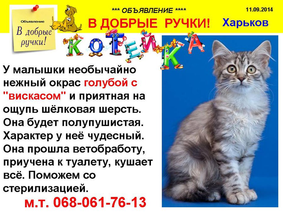 през_КОТЕЙКА.jpg