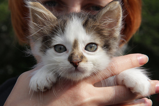 IMG_8569.jpg (313.99 КБ) Просмотров: 3668 IMG_8569.jpg