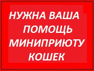 AYh5wjjhK36U.jpg