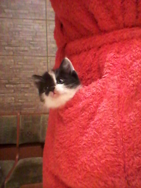20140917_210842.jpg