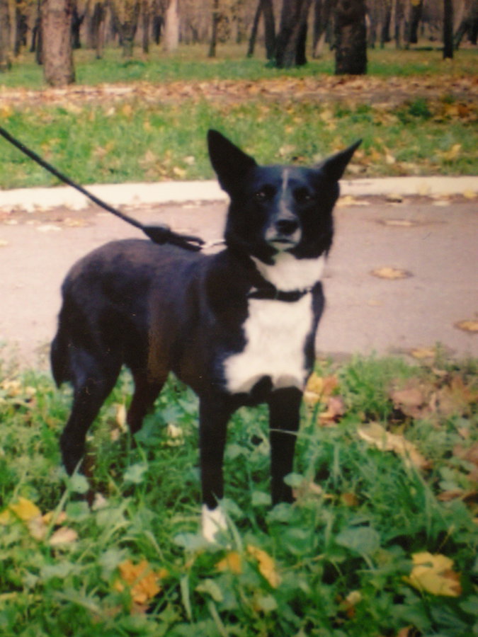 DSCN5258.JPG