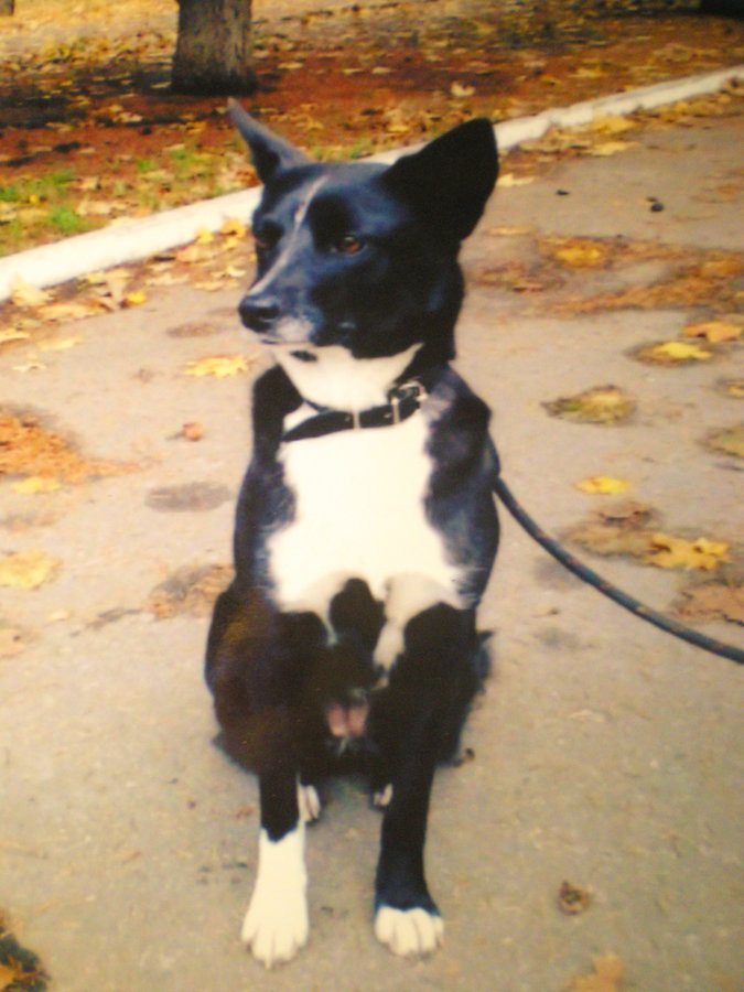 DSCN5259.JPG