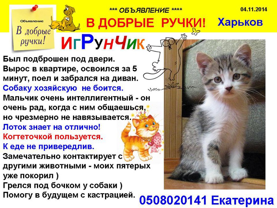 през_ИГРУНЧИК.jpg