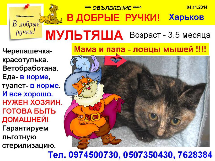 през_МУЛЬТЯША.jpg
