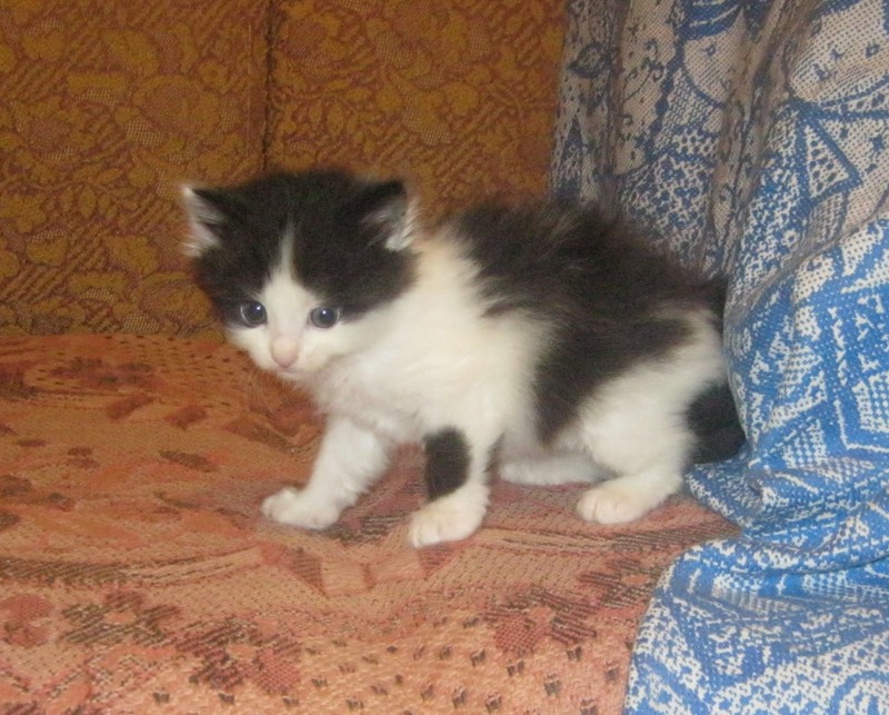 IMG_1744c.jpg