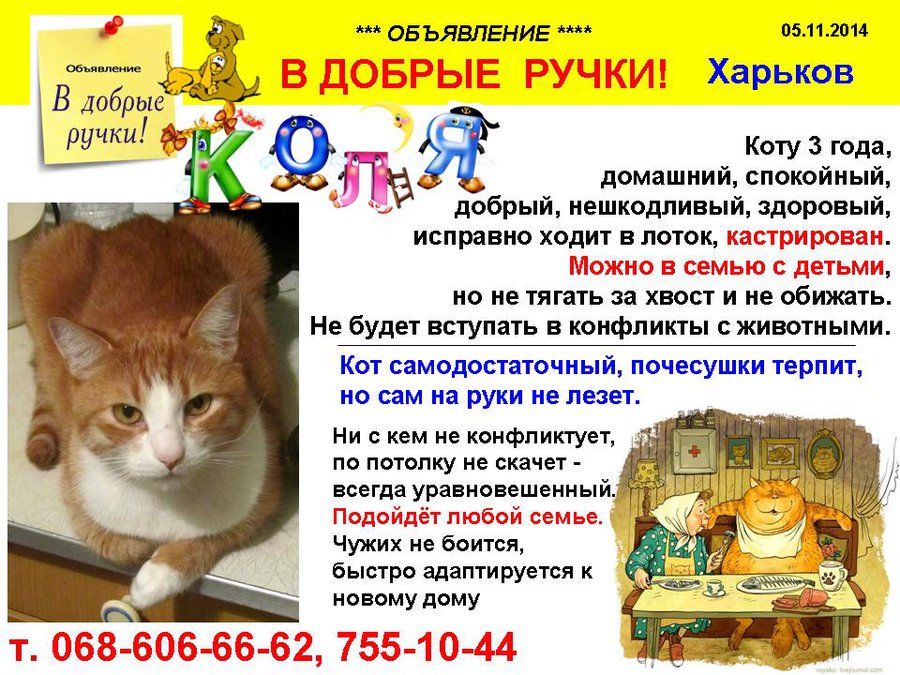 през_КОЛЯ.jpg