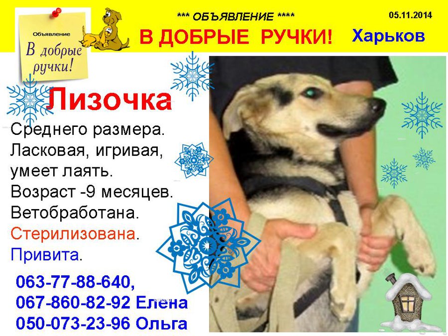 през_ЛИЗОЧКА.jpg