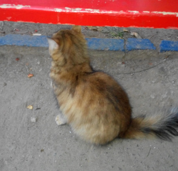 20141115152224.jpg
