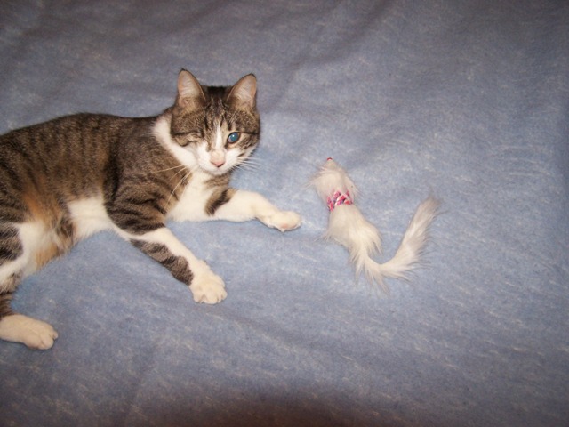 100_9152.JPG