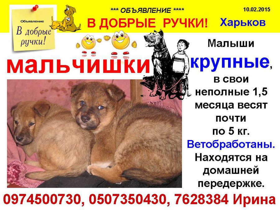 мальчишки.jpg