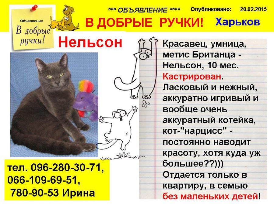 НЕЛЬСОН.jpg