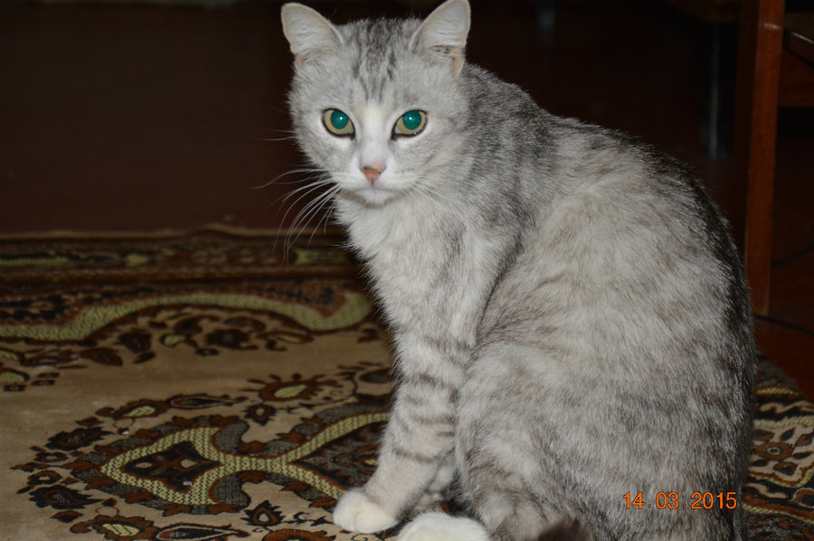 DSC_4553.jpg1.jpg