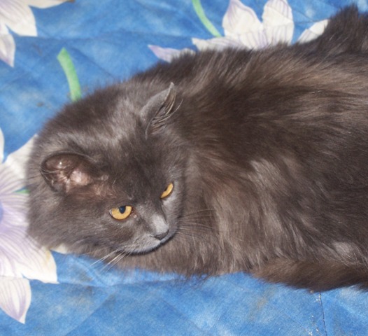Наоми 3.JPG