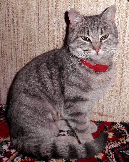 Луша2.jpg