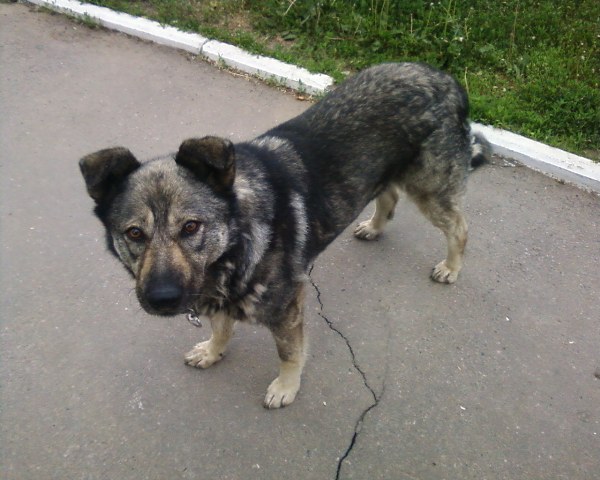 Мотя.jpg