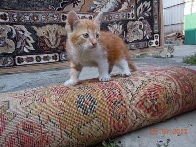 DSCN2461.JPG