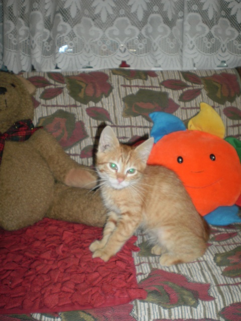 P1010027.JPG