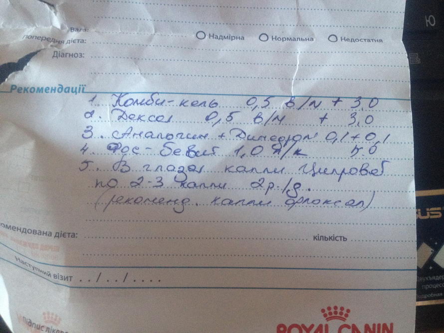 реком.jpg