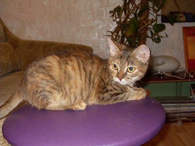SDC13062.JPG