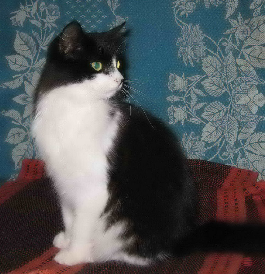 1 200 1024.jpg