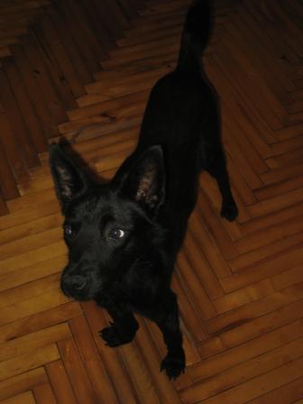 martaclone 007.jpg