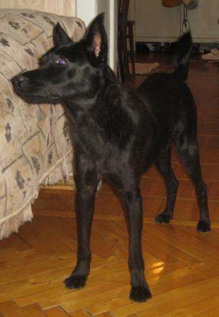 martaclone 026.jpg
