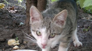 2012-07-28-071.jpg