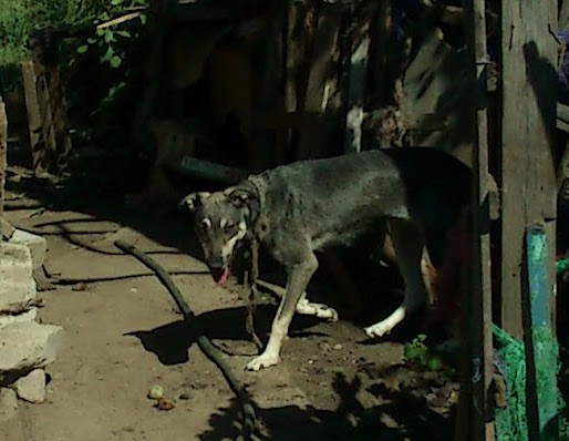 DSC_0354.JPG