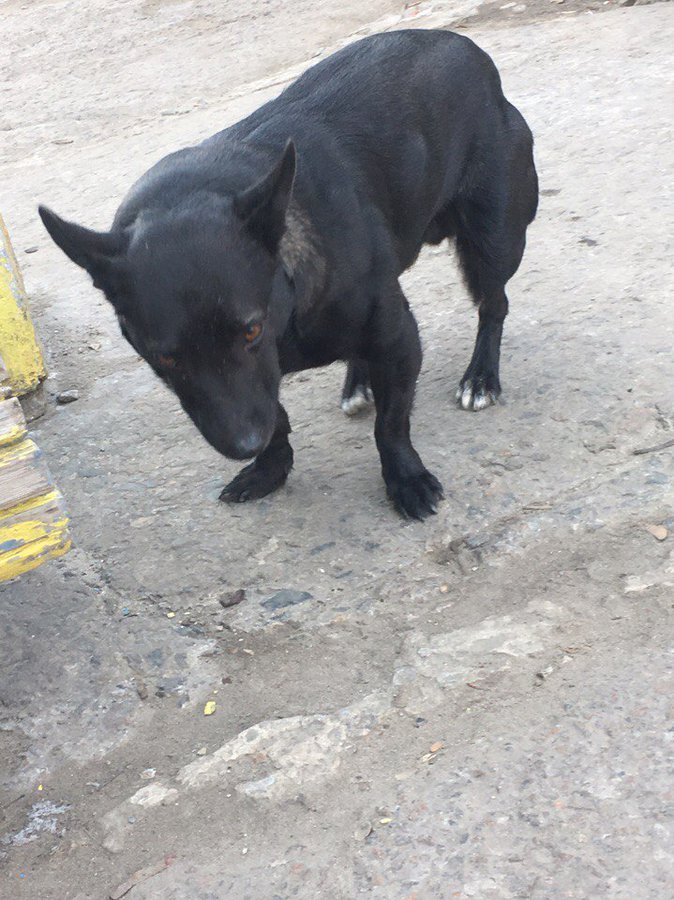 sSSjAvvnyT8.jpg (174.82 КБ) Просмотров: 36403 sSSjAvvnyT8.jpg