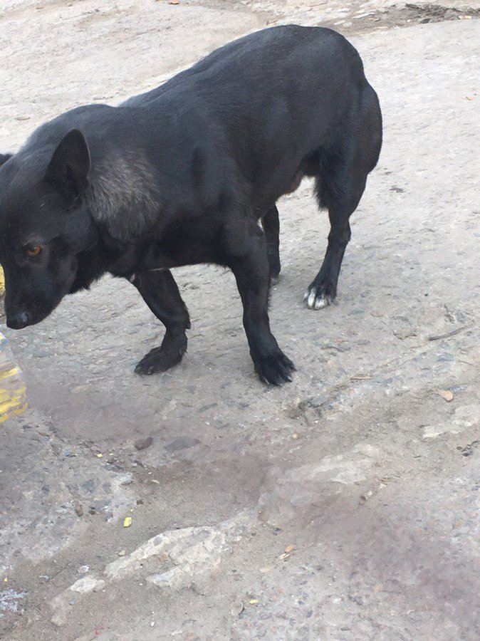 jJO0WOMgNV4.jpg (162.61 КБ) Просмотров: 36441 jJO0WOMgNV4.jpg